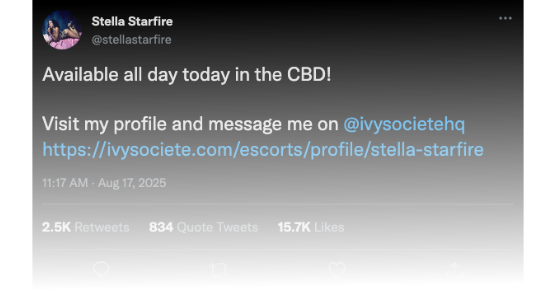 Scheduled X auto posts